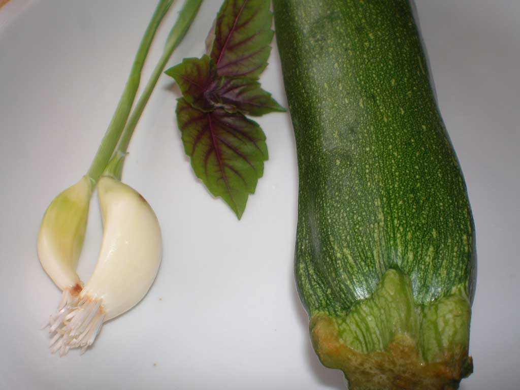 [zucchini-1.jpg]