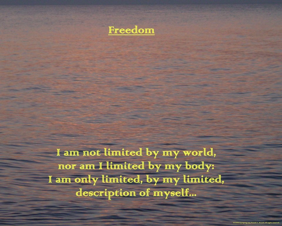 [freedom.bmp]