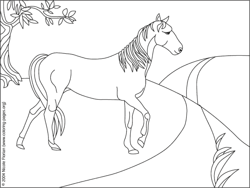 [horse-04.gif]