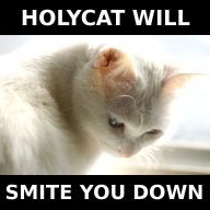 [holy+cats.jpg]