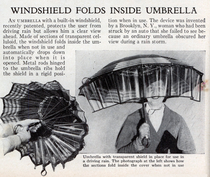 [umbrella_windshield.jpg]