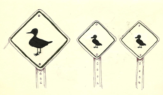 [IF-Signs-Ducks.jpg]