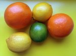 [citrusgroupsxc.jpg]