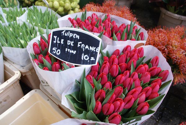 [market+tulips.jpg]