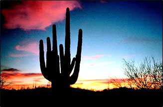 [Sonoran-Desert-Sunset.jpg]