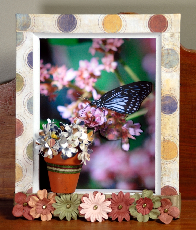 [butterfly+frame.jpg]