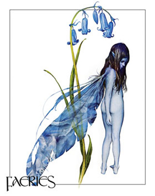 [lget0222+bluebell-faery-brian-froud-s-faeries-poster-card.jpg]