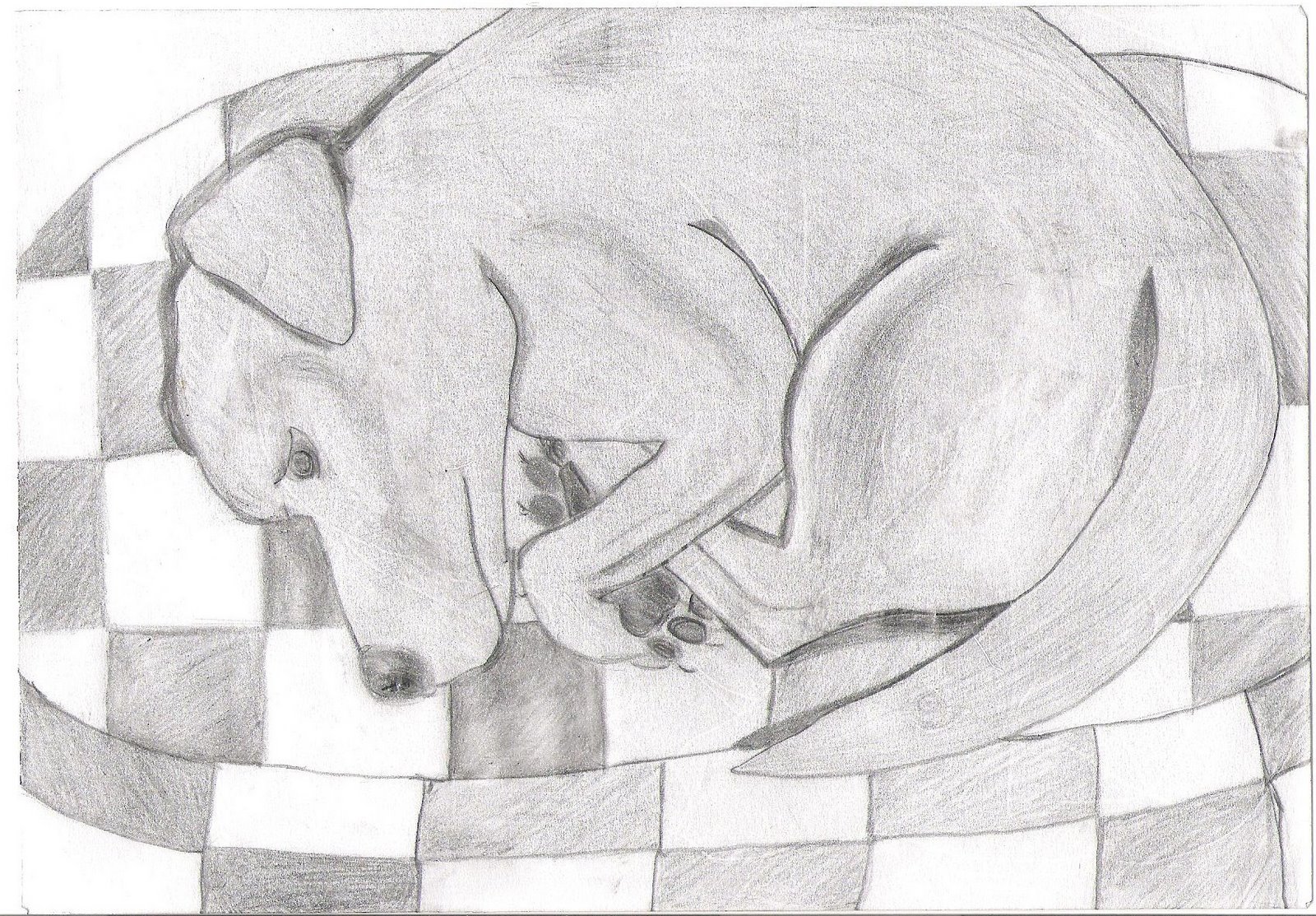 [Dog+Study+Drawing+3+001.jpg]