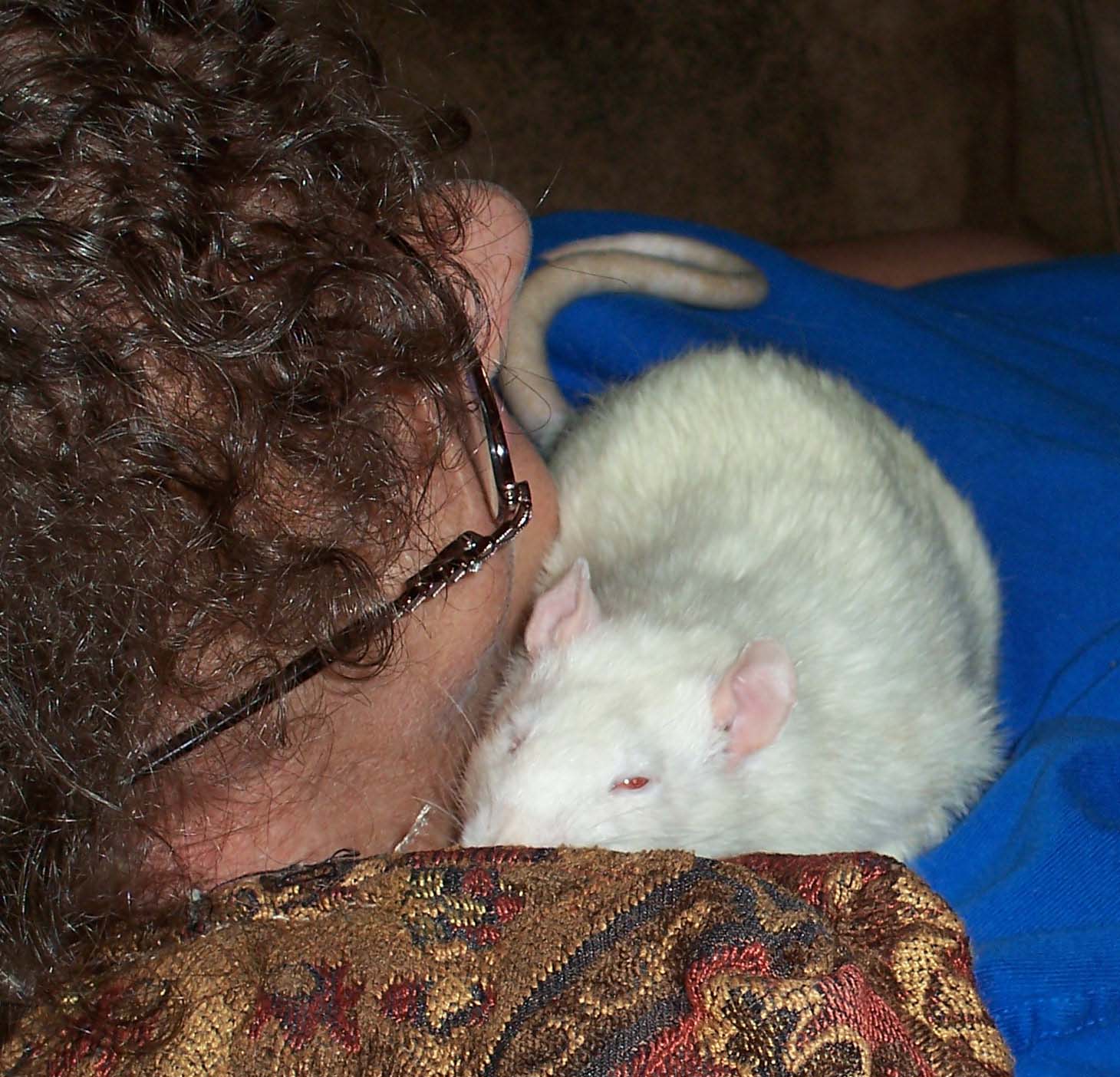 [Wolfie+snuggling+with+Mom+1+-+May+2008.jpg]