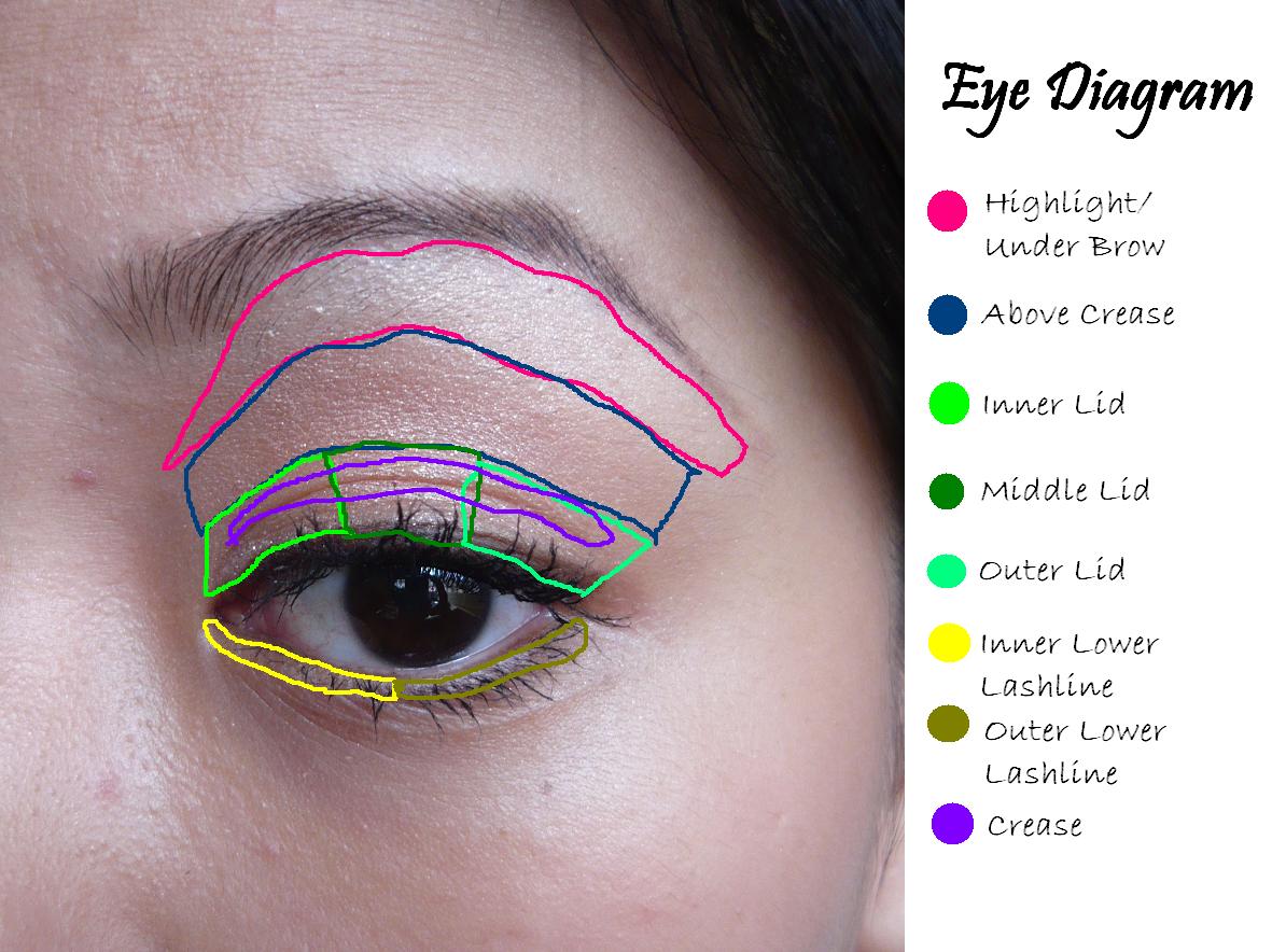 [eye+diagram.JPG]