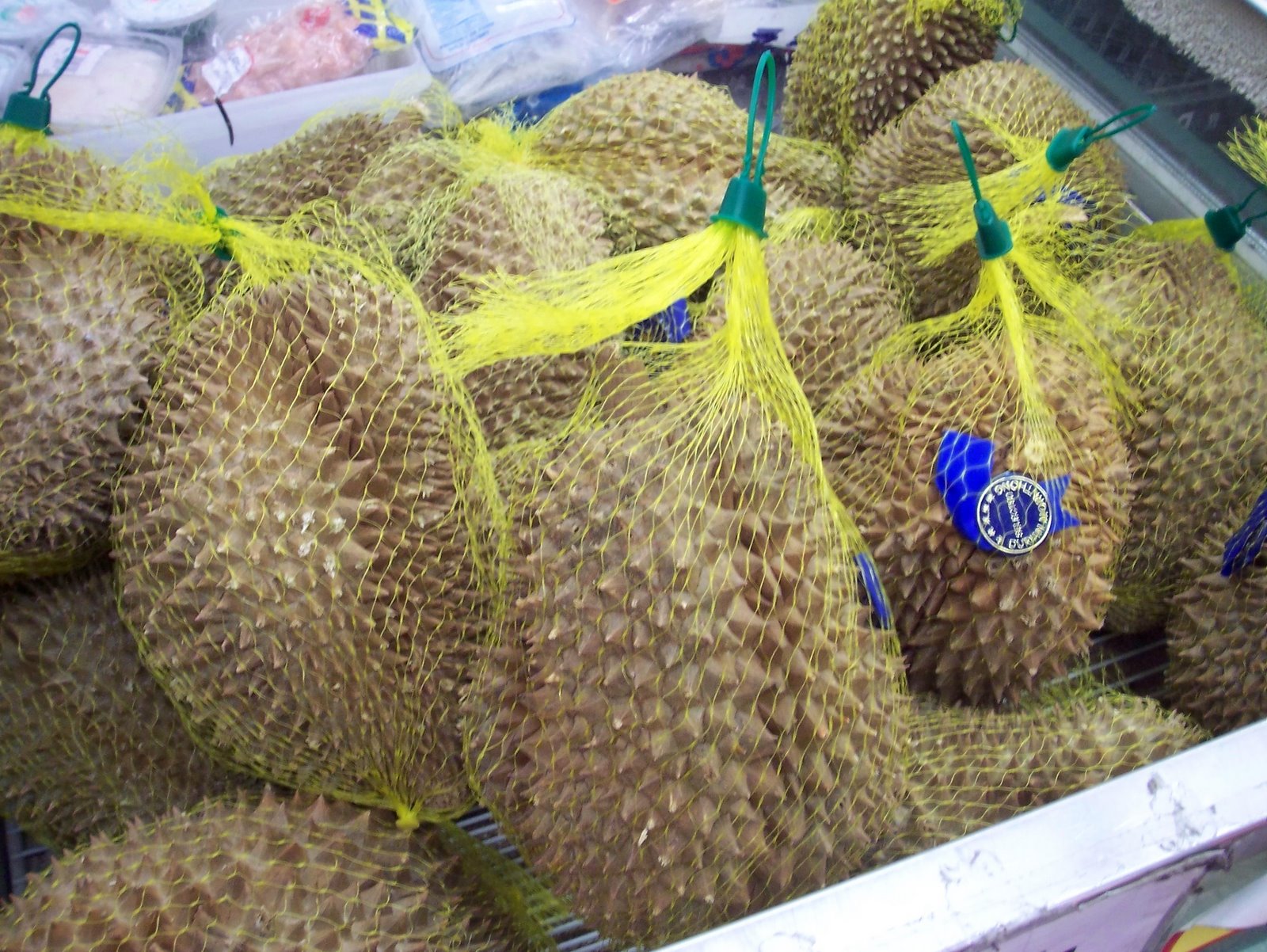 [durians.JPG]