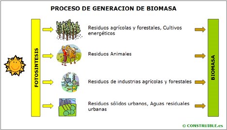 [Energia_Biomasa.jpg]