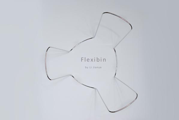 [Flexibin+03.jpg]