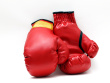 [ist1_4427732_boxing_gloves_3.jpg]