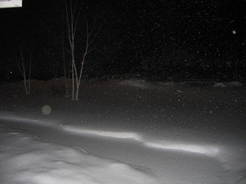 [snowy+night.jpg]
