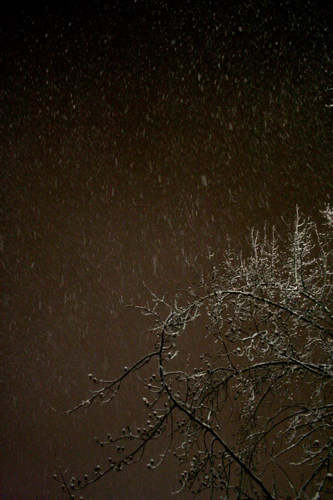 [Snow+Fullsize.jpg]