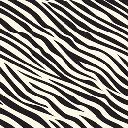 [glitz+zebra.jpg]