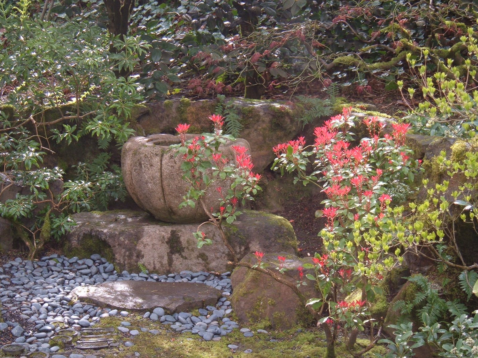 [Japan+garden+April+08+081.jpg]