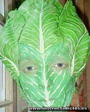 [fresco_como_una_lechuga_fresh_like_lettuce.jpg]