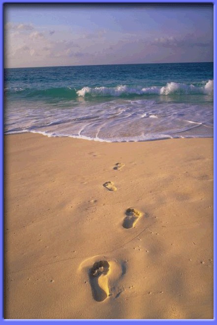 [feet-in-sand.jpg]