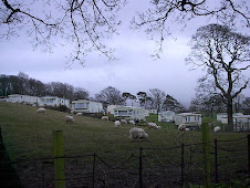 The sheep and the caravans both graze freely all over Wales