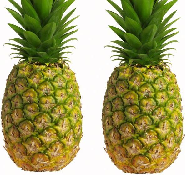 [pineapple.JPG]