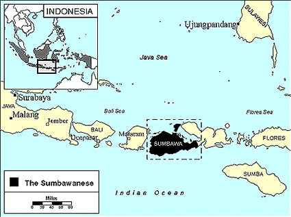 [Sumbawa,+Indonesia]