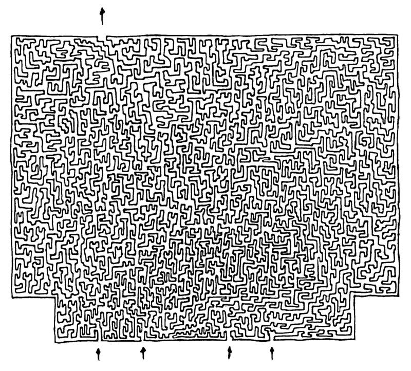[labirinto02_web_small.jpg]
