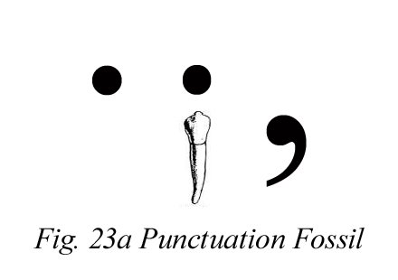 [semicolon+fossil.jpg]
