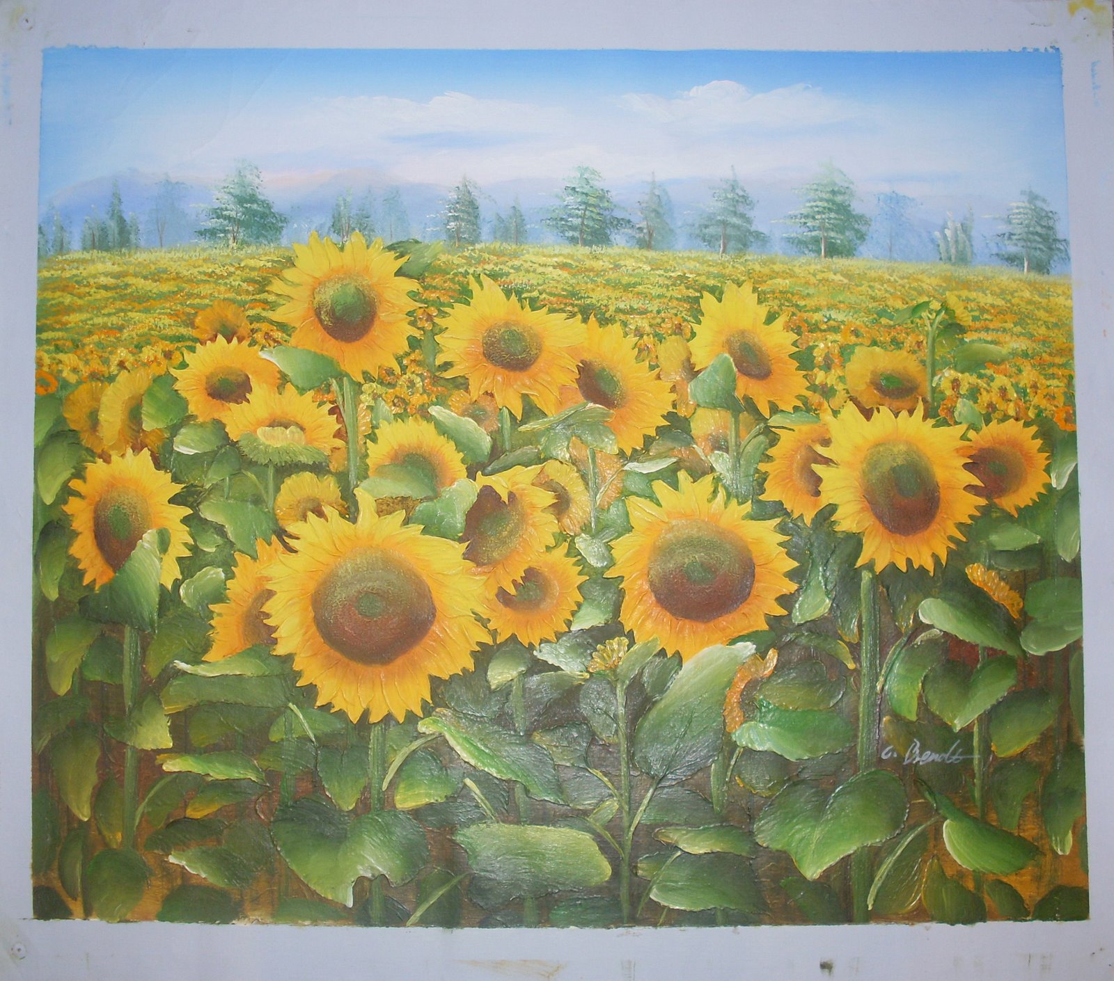 [Sunflowers1.jpg]