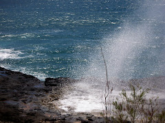 Hawaii - 2007