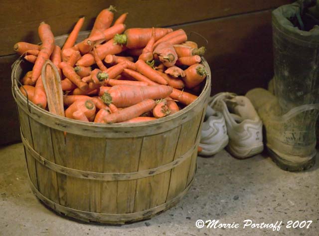 [Carrots.jpg]