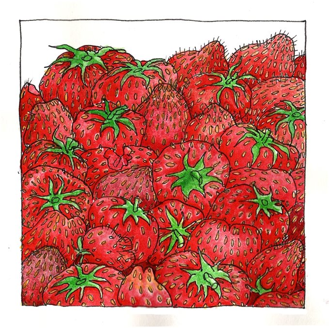 [strawberriessmall.jpg]
