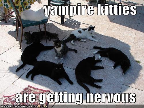 [Vampire+Kitties.bmp]