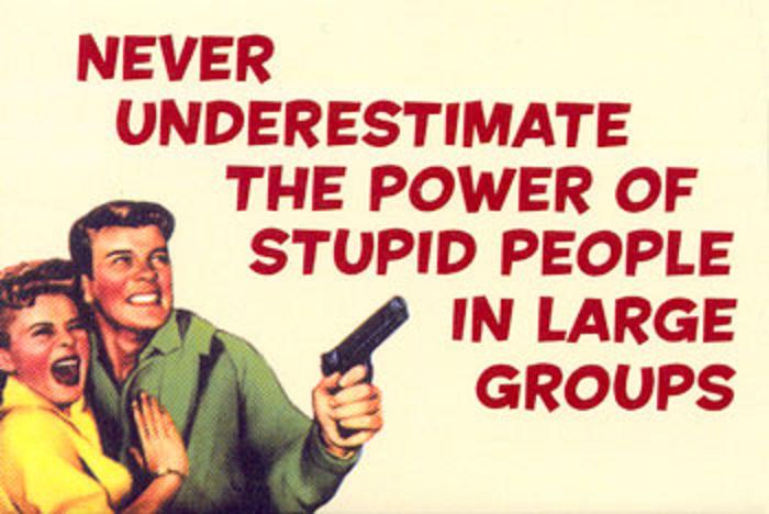 [power+of+stupid+people.jpg]