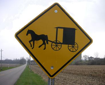 [Amish+a+ferd.JPG]