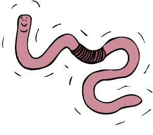 [Worm.png]