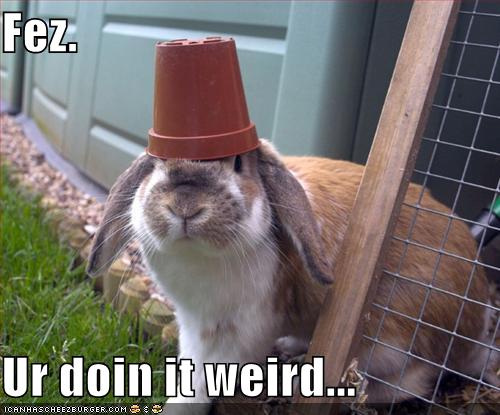 [funny-pictures-your-fashionable-rabbit-wears-a-fez.jpg]