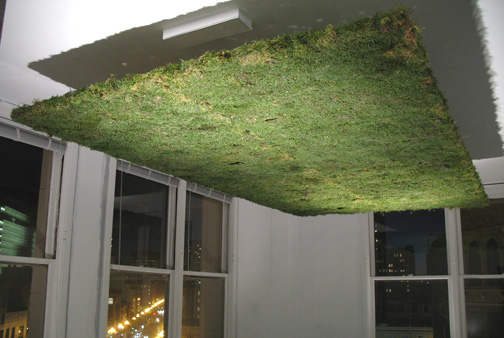 [Inaoka+moss-ceiling+her+photo.jpg]