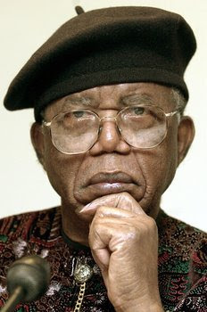 butterfly by chinua achebe