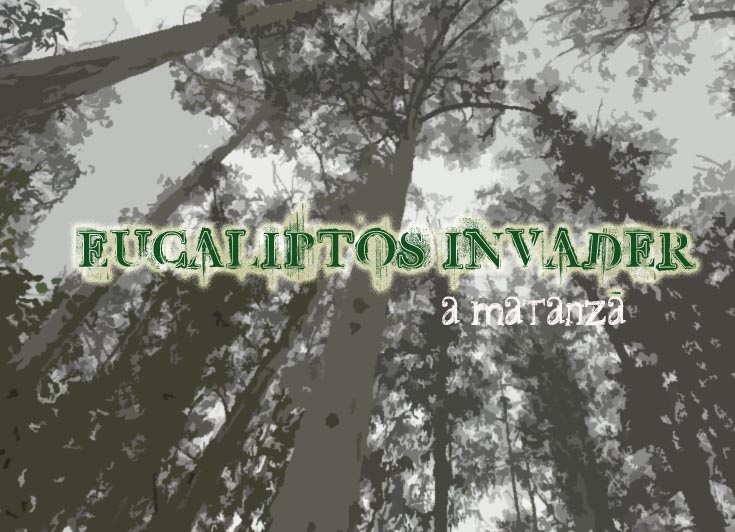 [eucaliptos+invader.jpg]