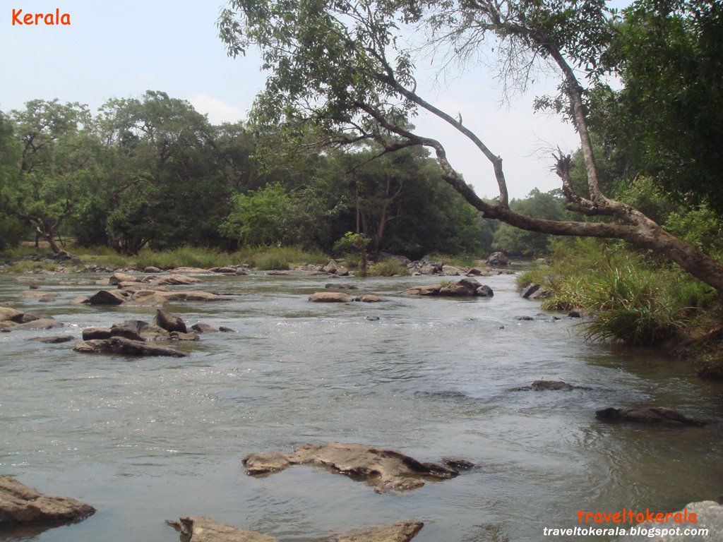 [Kabani+River++at+Wayanad+traveltokerala.blogspot.com+(6).jpg]