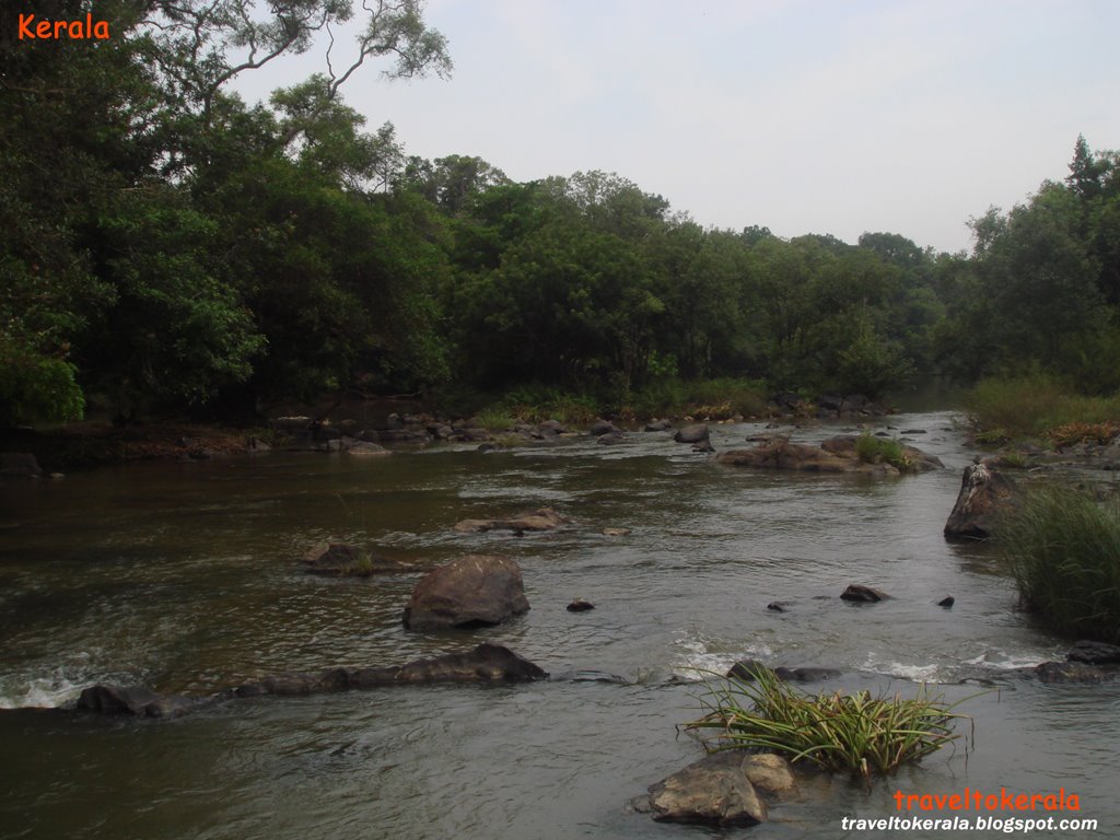 [Kabani+River++at+Wayanad+traveltokerala.blogspot.com+(7).jpg]
