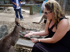 Jen feeding a Kangaroo!