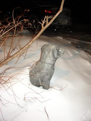 [snow+dog.jpg]
