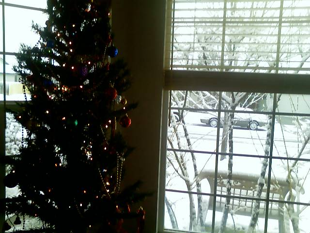 [tree+snow.jpg]