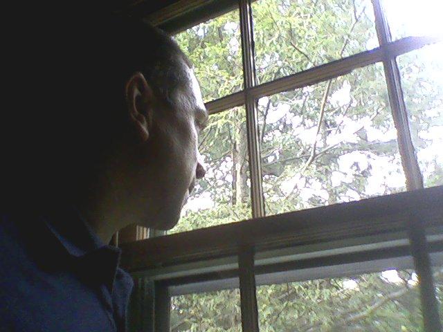 [Regulus-upstairs-window-WMontgomeryAve-RockvilleMD-06July2008.JPG]