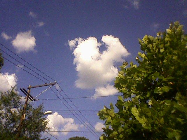 [Sky-Cloud-LongfellowStNW-WashDC-03Aug2008.JPG]