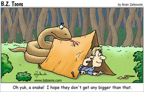 [Camping+Snakes.jpg]