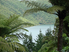 Beautiful New Zealand